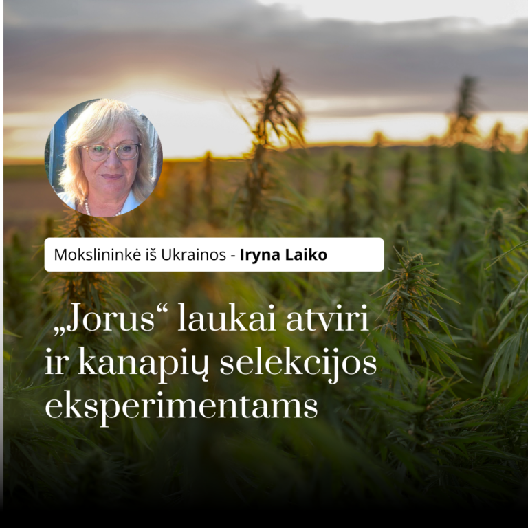 „Jorus“ laukai atviri ir kanapių selekcijos eksperimentams